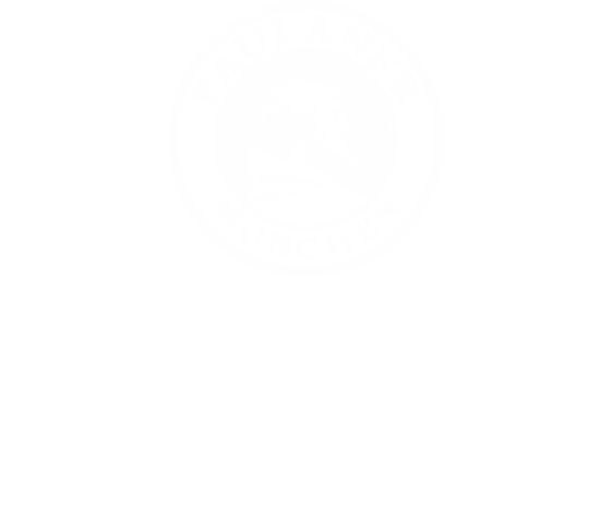 Paulaner Festzelt